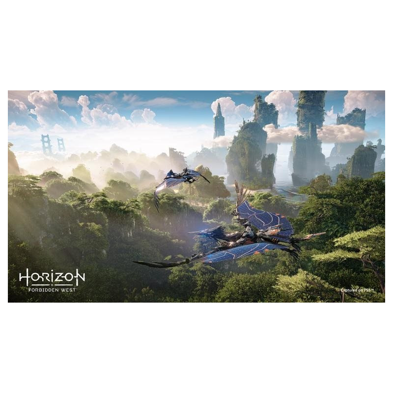 PS4 - Horizon Forbidden West