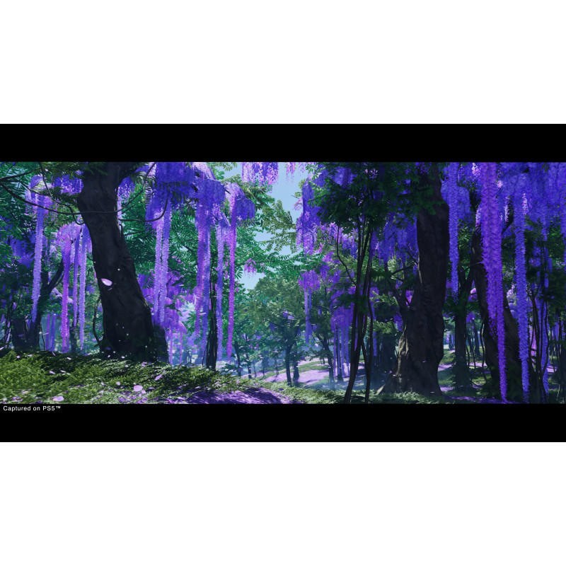 PS5 - Ghost of Tsushima Director |s Cut - Remaster