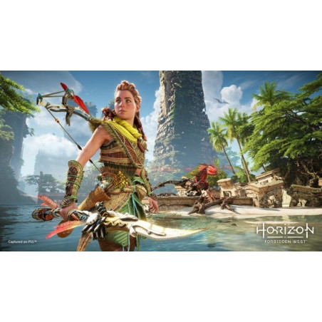 PS5 - Horizon Forbidden West