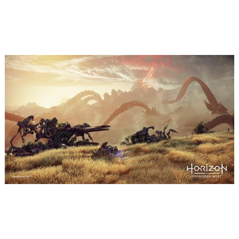 PS5 - Horizon Forbidden West