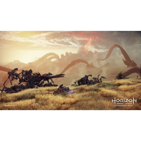 PS5 - Horizon Forbidden West