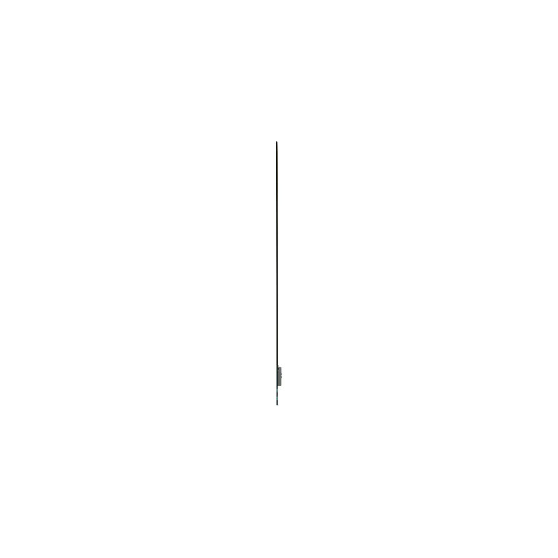 55" LG OLED 55EW5Q - FHD, 600cd, transparent, 18/7