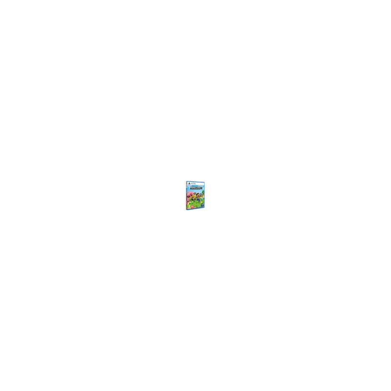 PS5 - Minecraft