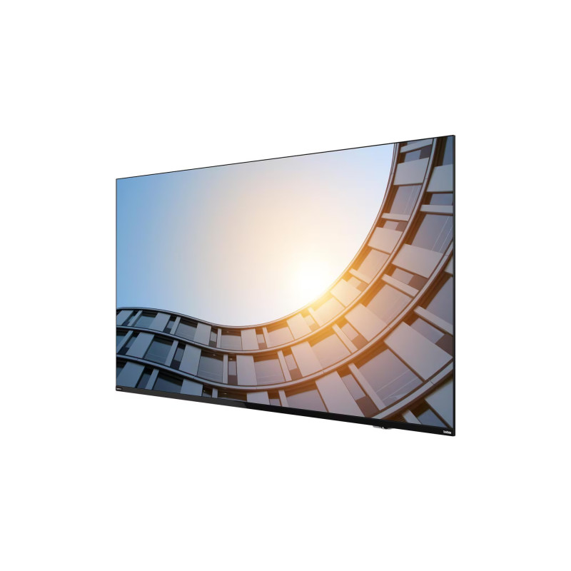 Lenovo ThinkVision E65 64,5"/16:9/3840x2160/8ms