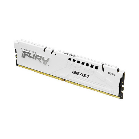 Kingston FURY Beast White/DDR5/16GB/5600MHz/CL40/1x16GB/White