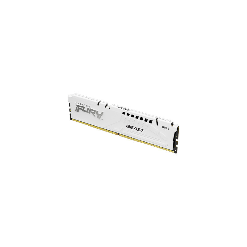 Kingston FURY Beast White/DDR5/32GB/5600MHz/CL40/1x32GB/White