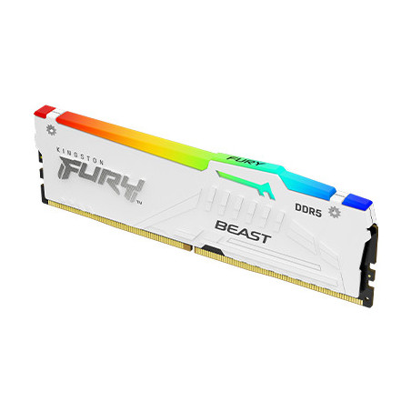 Kingston FURY Beast White/DDR5/32GB/5600MHz/CL40/1x32GB/RGB/White