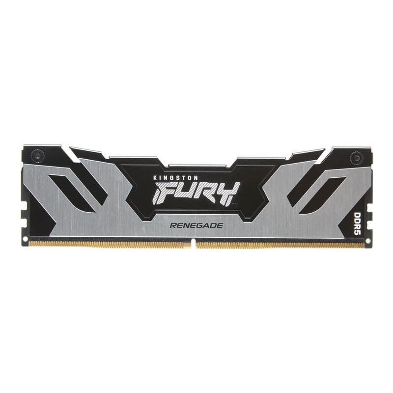 Kingston FURY Renegade/DDR5/48GB/6400MHz/CL32/1x48GB/Black/Silv