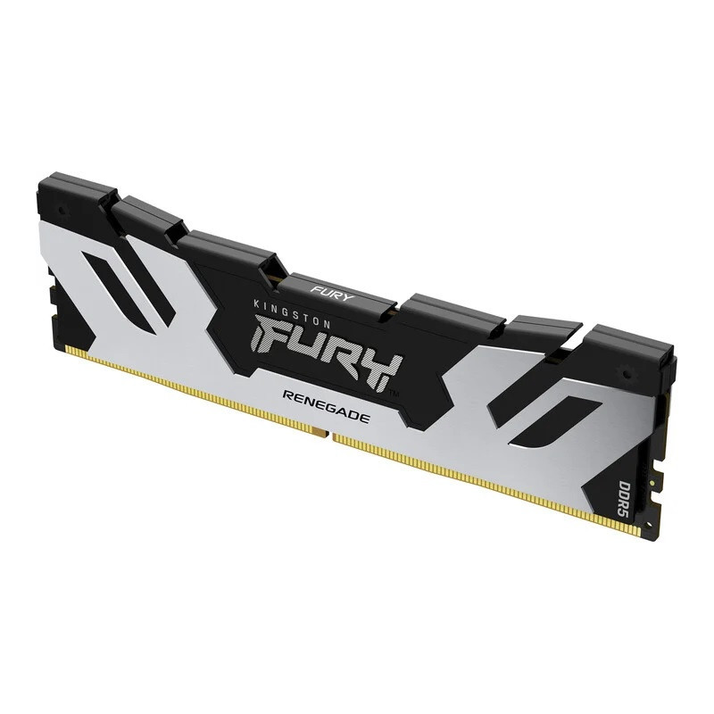 Kingston FURY Renegade/DDR5/24GB/7200MHz/CL38/1x24GB/Black/Silv