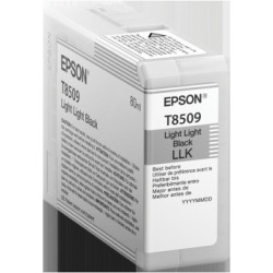 Epson Singlepack Photo Light Light Black T850900 UltraChrome HD ink 80ml