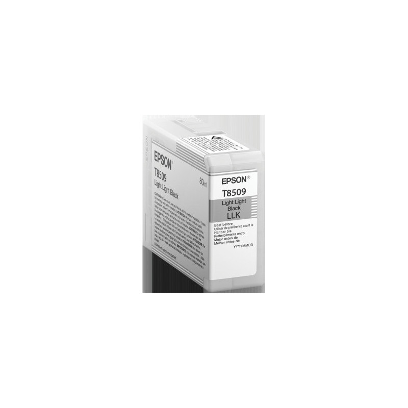 Epson Singlepack Photo Light Light Black T850900 UltraChrome HD ink 80ml