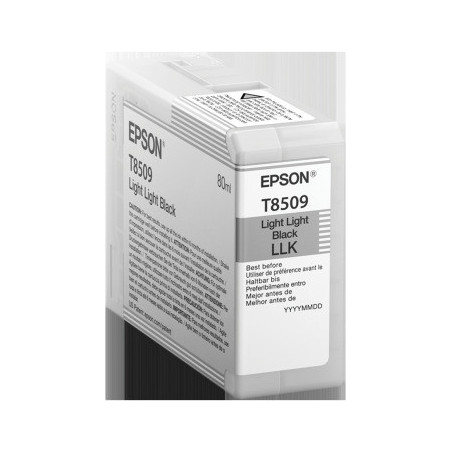 Epson Singlepack Photo Light Light Black T850900 UltraChrome HD ink 80ml
