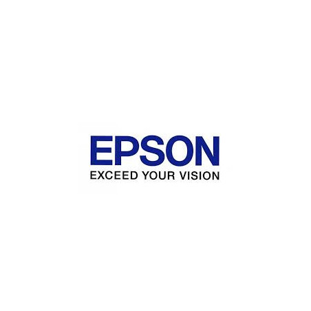 Epson Maintenance Box C869