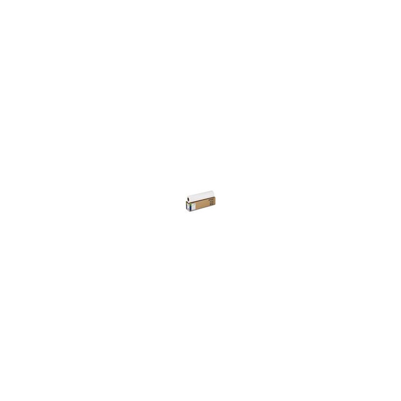 Paper Roll Singleweight Matte 17" x 40 m, 120g/m2