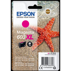 EPSON siglepack, Magenta 603XL