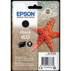 Epson singlepack, Black 603