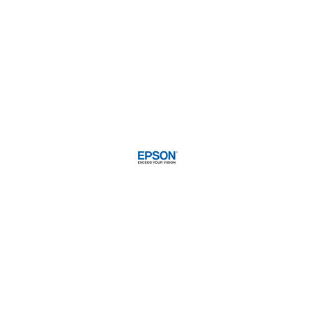Epson A3 RIPS Staples