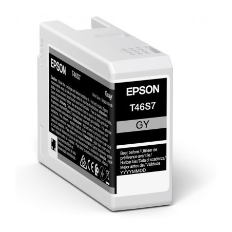 Epson Singlepack Gray T46S7 Ultrachrome
