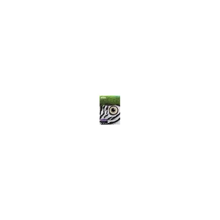 EPSON Fine Art Cotton Textured Natural II, A2 25s.