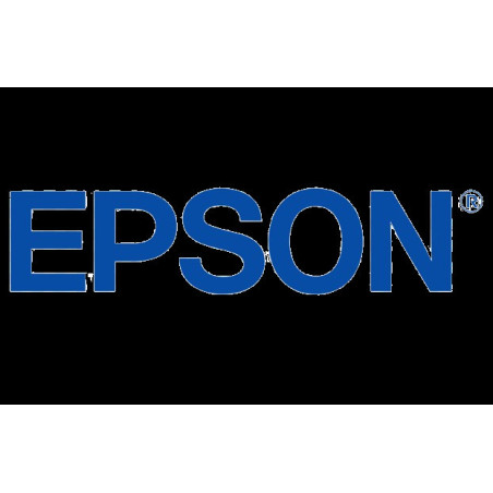 EPSON WorkForce Pro EM-C7100/EP-C7000 Ink L Yellow