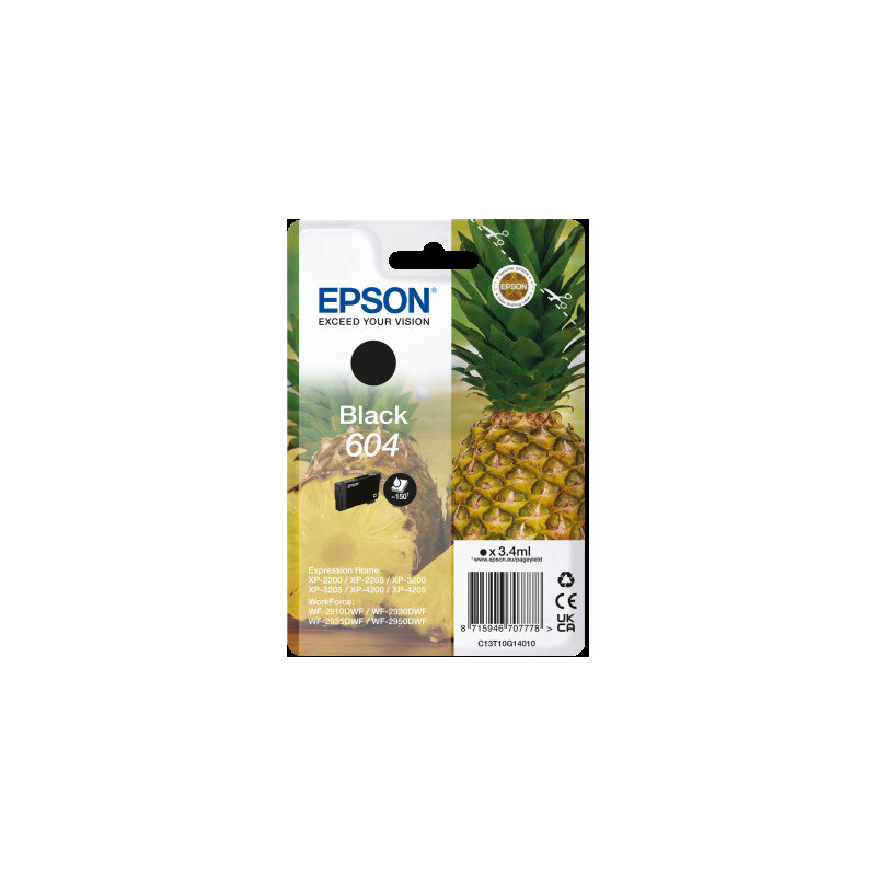 EPSON Singlepack Black 604 Ink