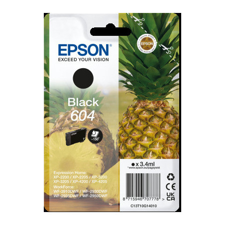 EPSON Singlepack Black 604 Ink