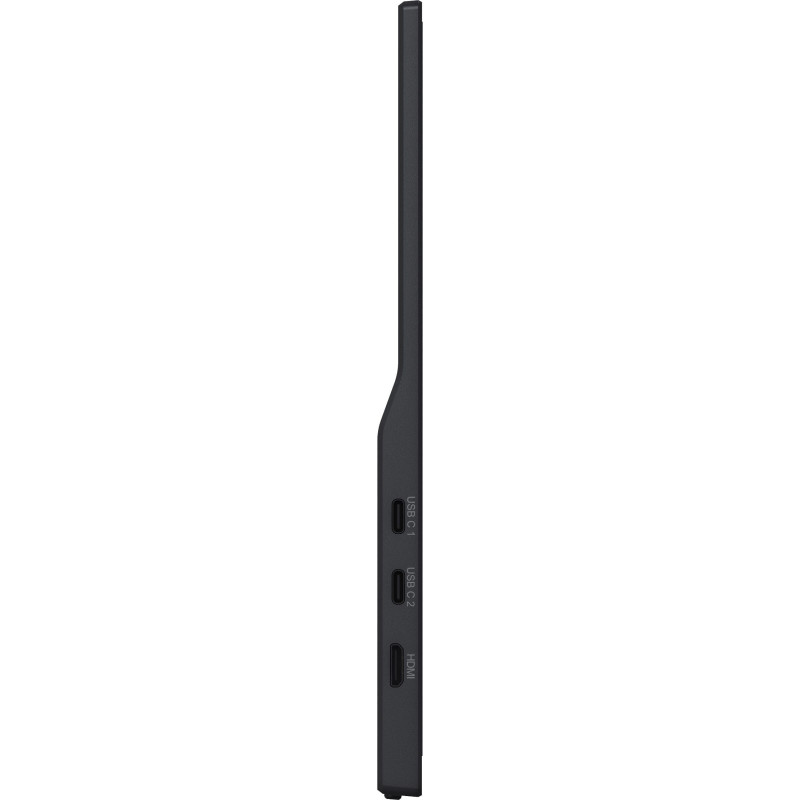iiyama ProLite/P1671HSC-B1/15,6"/IPS/FHD/60Hz/3ms/Čierna/3R