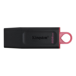 Kingston DataTraveler Exodia/256GB/USB 3.2/USB-A/Ružová