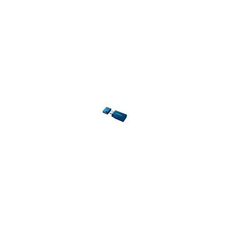 Samsung/256GB/USB 3.2/USB-C/Modrá