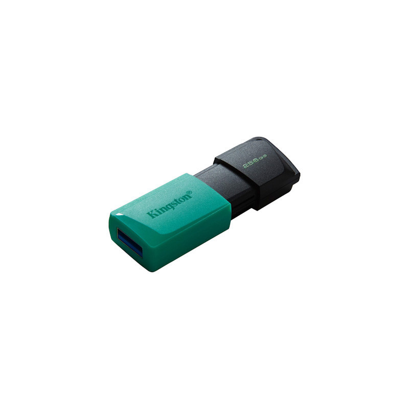 256GB Kingston USB 3.2 (gén 1) DT Exodia M