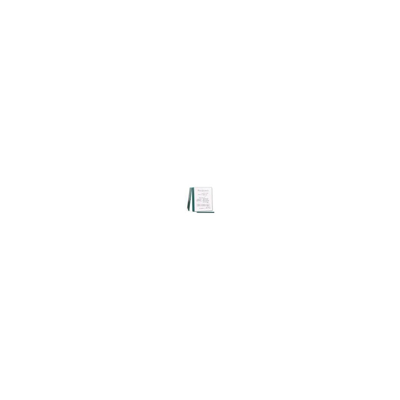 E-book Amazon Kindle Scribe 2024 (64 GB), Jade