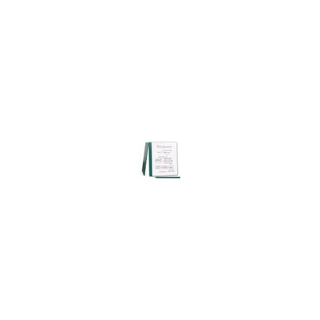 E-book Amazon Kindle Scribe 2024 (64 GB), Jade