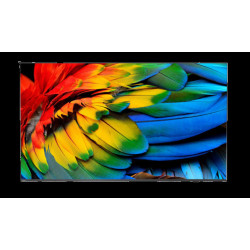 65" HTV Philips 65HFL6214U - Business TV