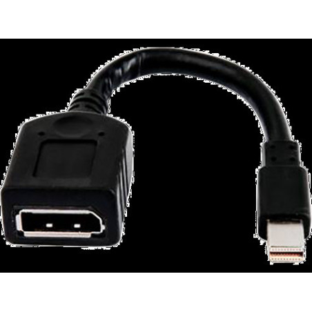 HP Single MiniDP-to-DP Adapter Cable (Quadro P400/P620/P1000/Radeon WX2100/3100/4100)