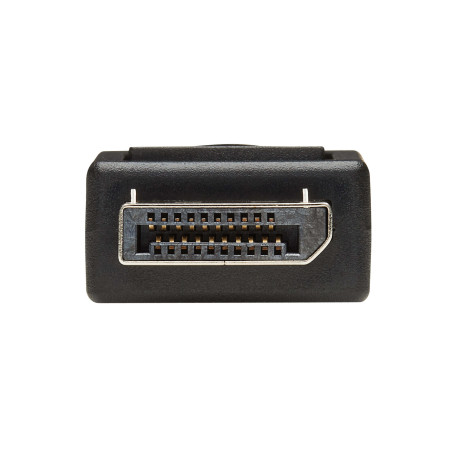 Video adaptér DisplayPort / DVI (Samec/Samice), 15.2cm