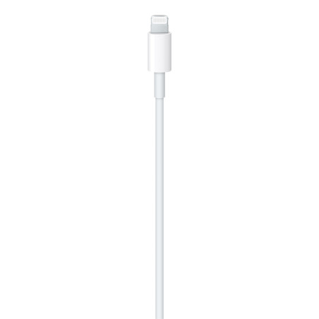 USB-C to Lightning Cable (2 m) / SK