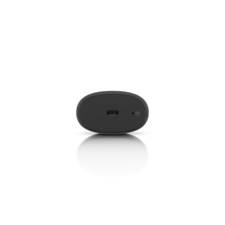 Ubiquiti UC-Cast-Lite, Display Cast Lite