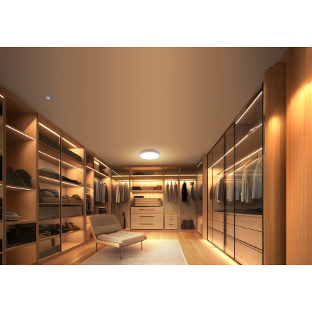 Xiaomi Mi Smart LED Ceiling Light D20