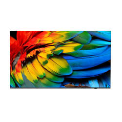 50" HTV Philips 50HFL6214U - Business TV