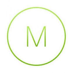 MS22P EnterpriseLicenseandSupport, 1 rok