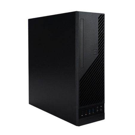 Premio Professional I600 SFF (LGA1851)