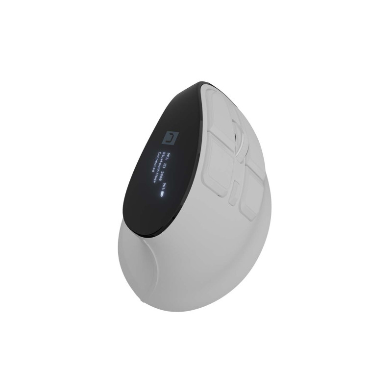 Vertikálna bezdrôtová myš Natec EUPHONIE PRO/Vertikálna/Optická/Pre pravákov/4 000 DPI/USB+BT/Biela