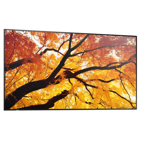 NEC Sharp MultiSync/M502/50"/VA/4K UHD/60Hz/8ms/Čierna/3R