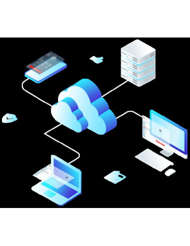 Yeastar Linkus Cloud Service pre S20 - ročná licencia