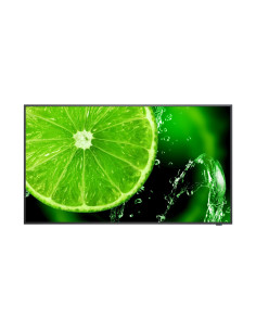 65" LED NEC E658,3840x2160,IPS,16/7,350cd