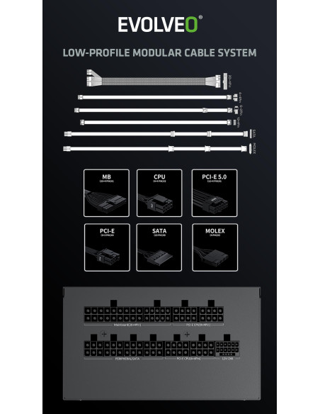 EVOLVEO P1000, 1000W/ ATX 3.1/ 80+ PLATINUM/