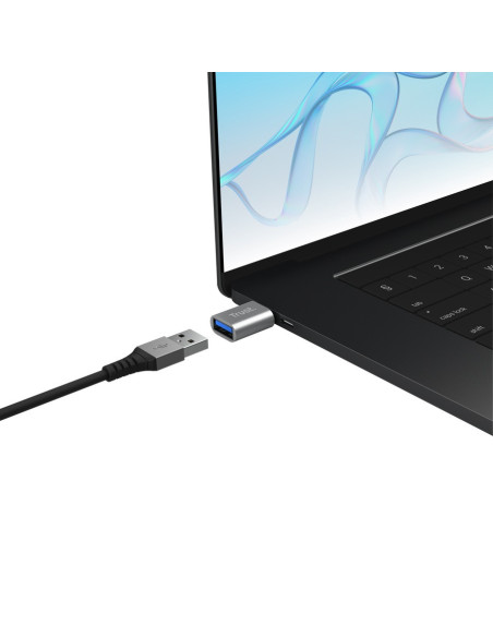 TRUST CALYX USB-C TO USB-A ADAPTER 2PACK