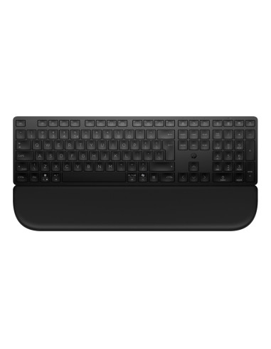 HP 580K Multi-Device Keyboard Palm Rest