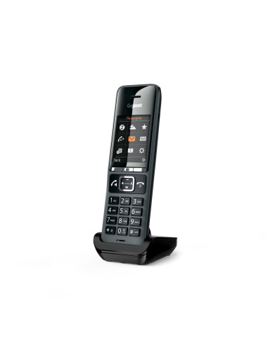 Gigaset C600H PRO k N530IP