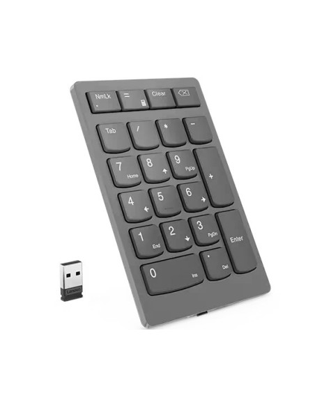 Lenovo GO/Bezdrôtová USB/Šedá